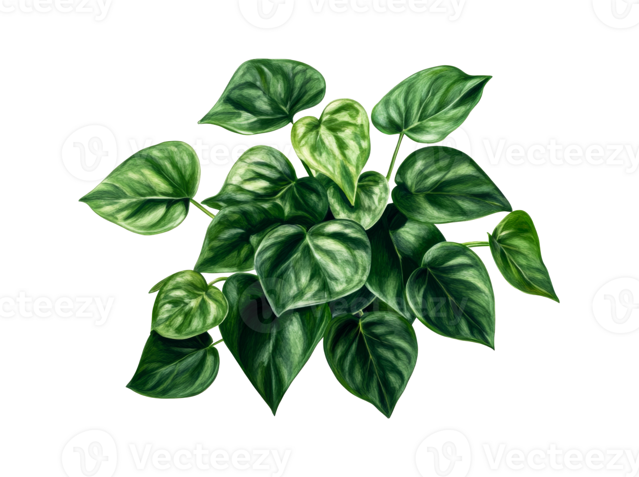 Green leaves of a plant, watercolor style digital art, cut out transparent png