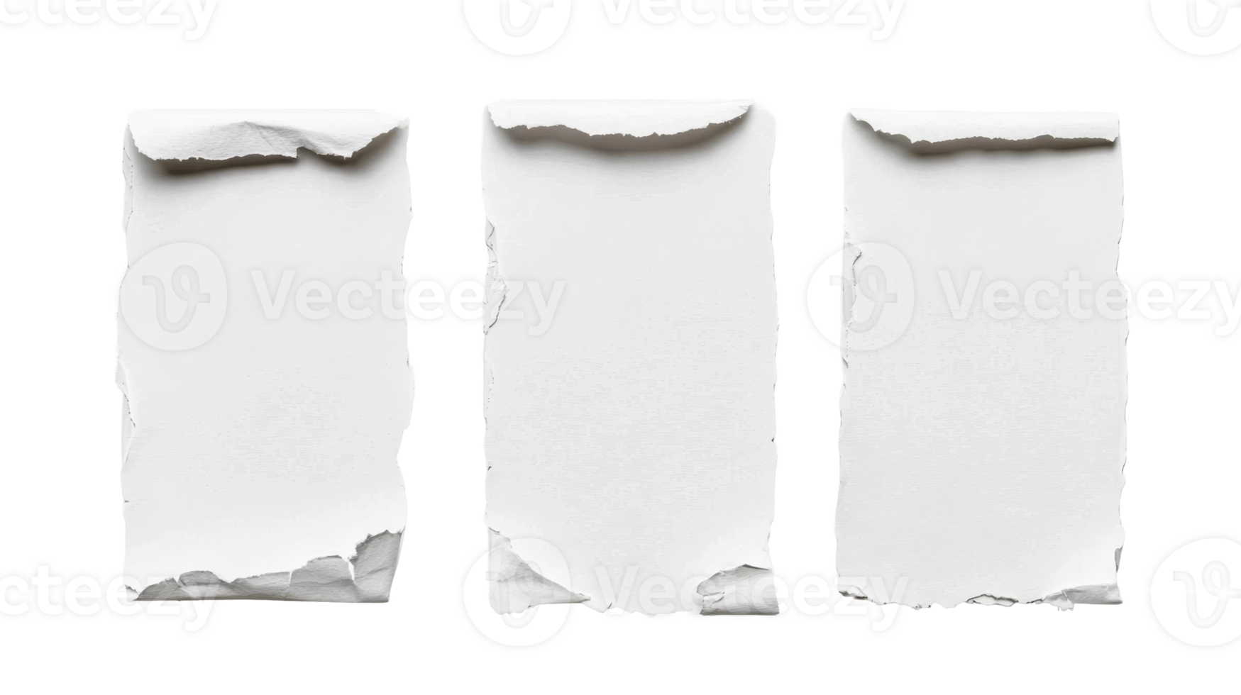 Torn white paper edges, rough textured borders, cutout elements, cut out transparent png