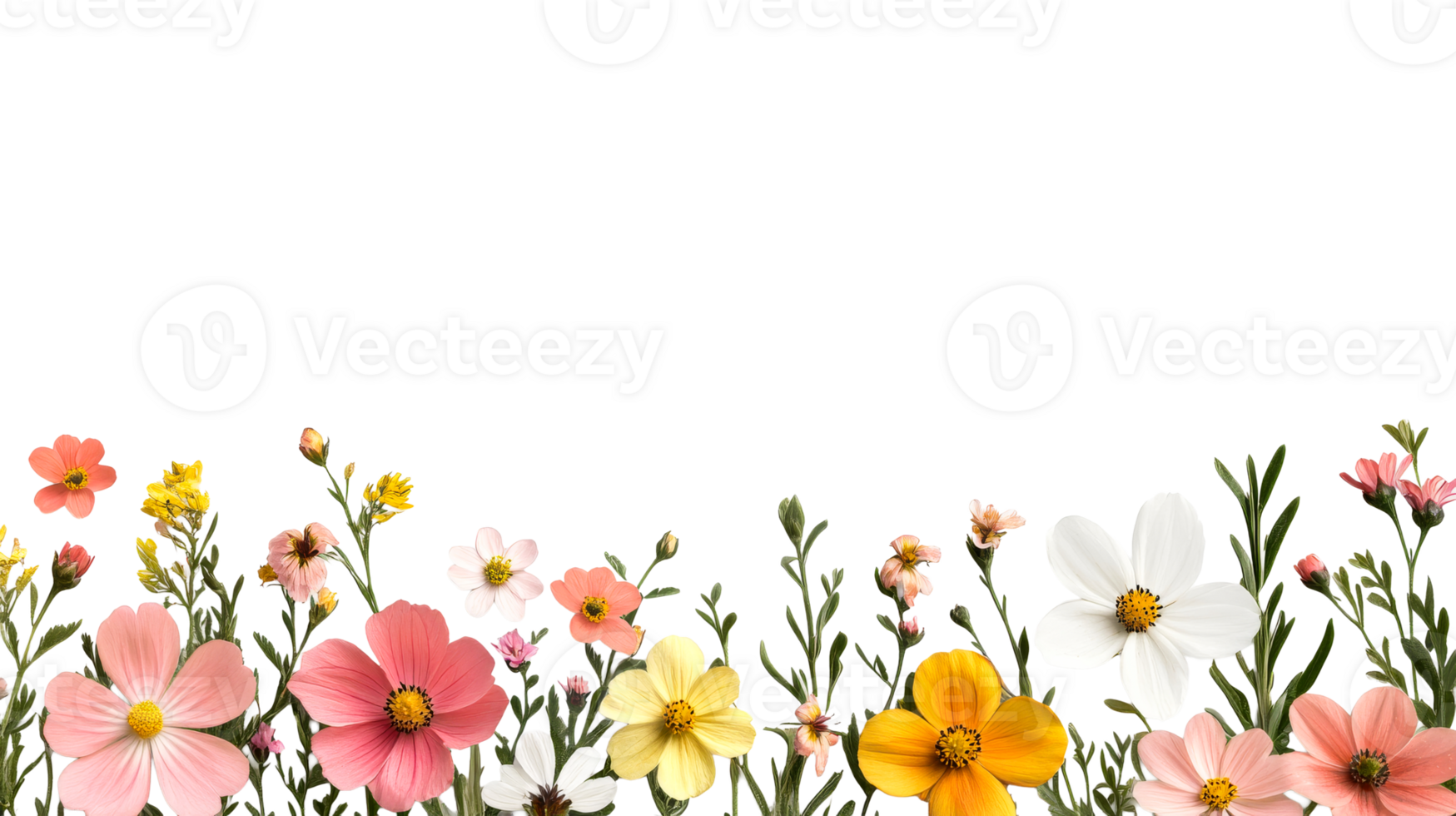 Variety of Flowers Bordering Black Background, cut out transparent png