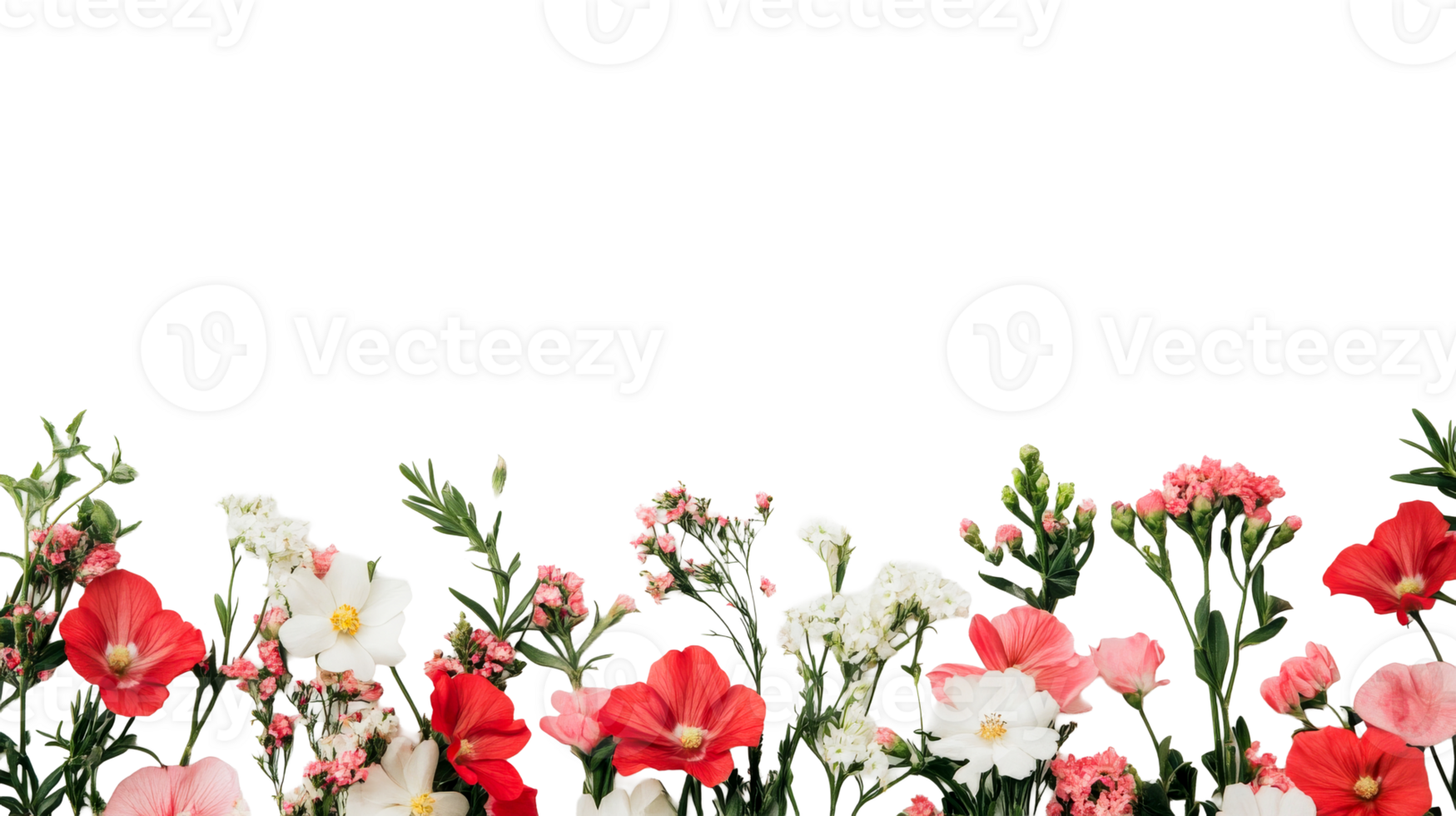 Floral arrangement of poppies and greenery isolated , cut out transparent png