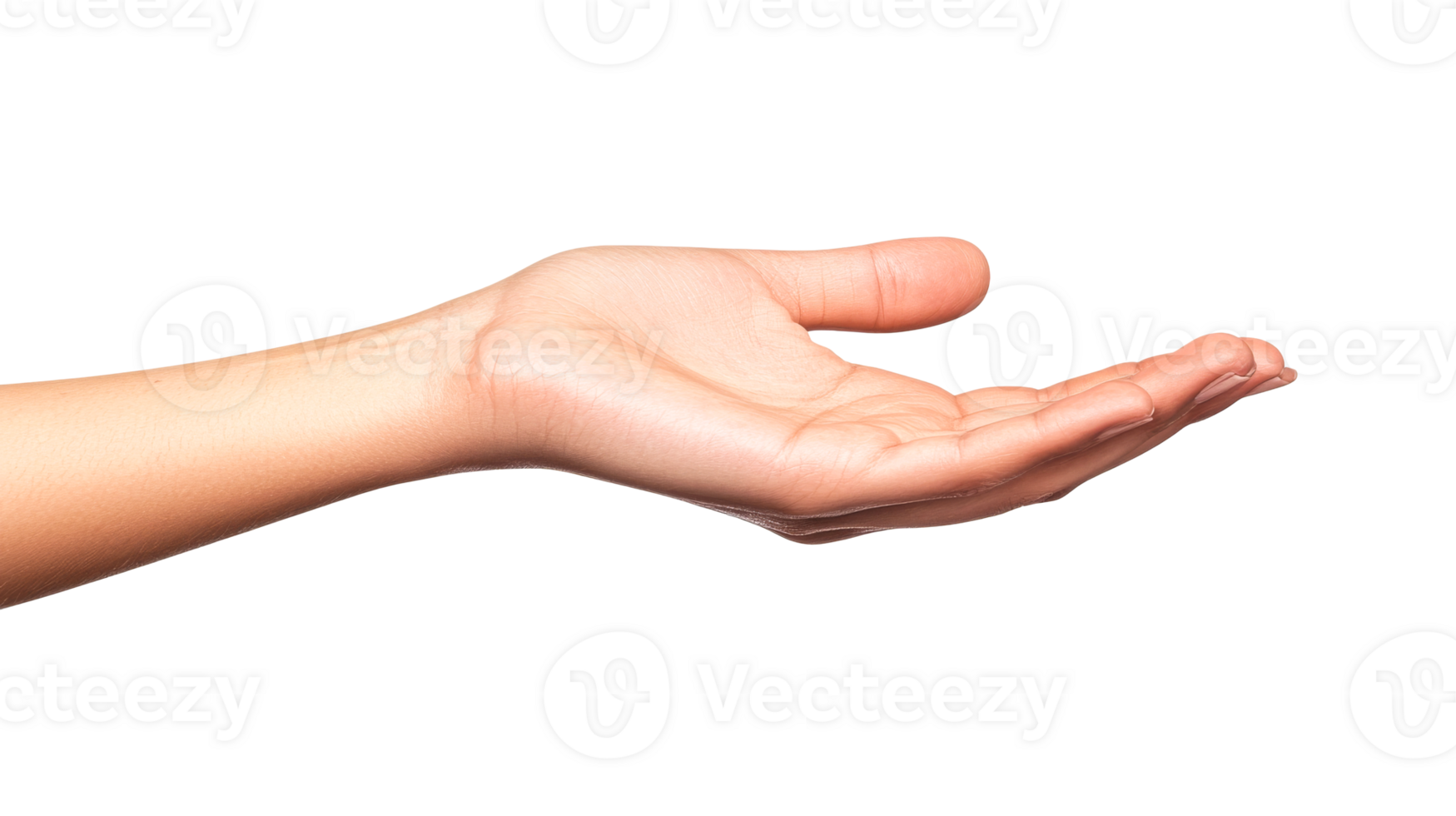 Open hand gesture offering a helping, support, blessing, cut out transparent png