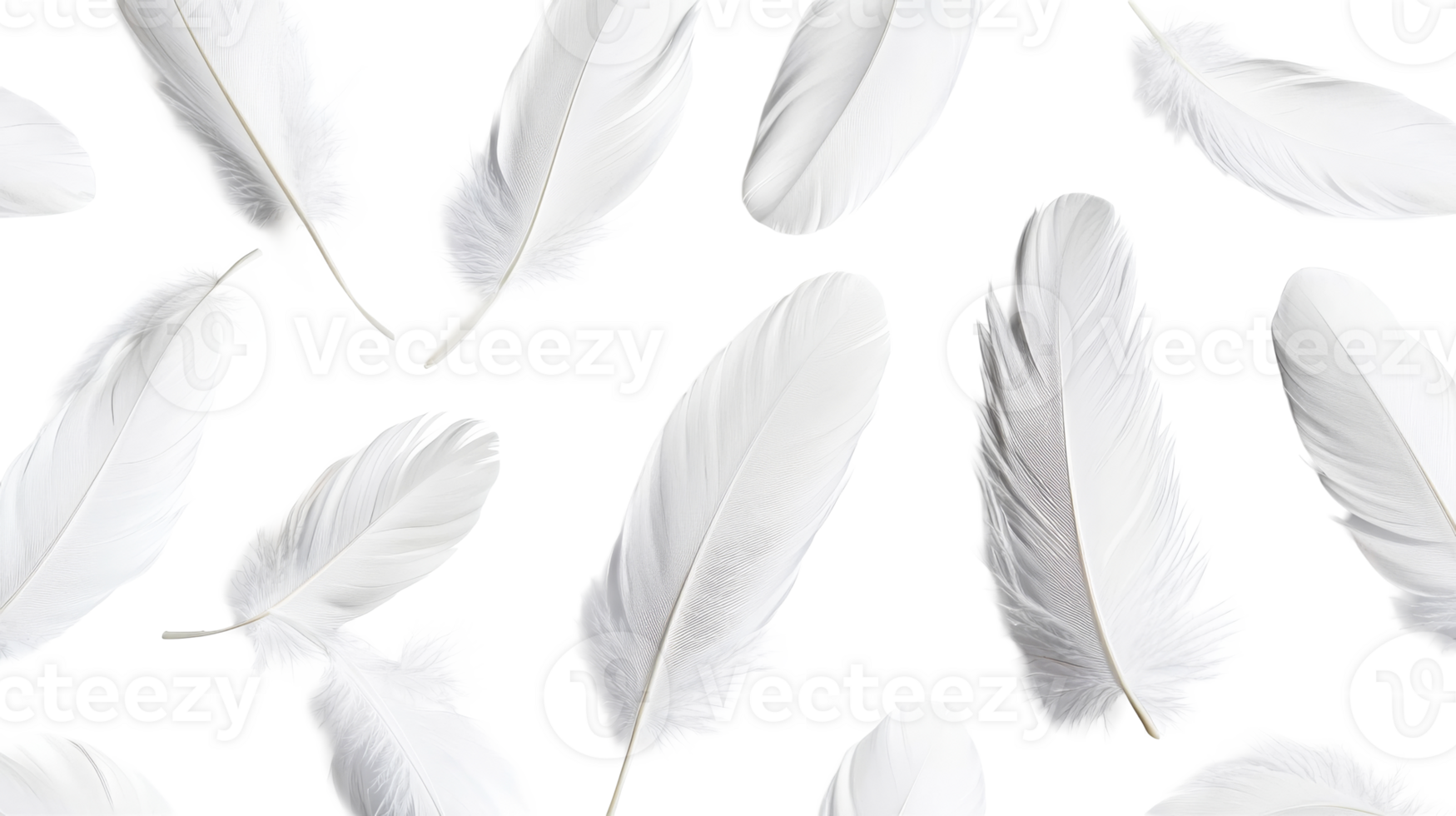 Soft white feather arrangement, background element, concept of lightness, cut out transparent png