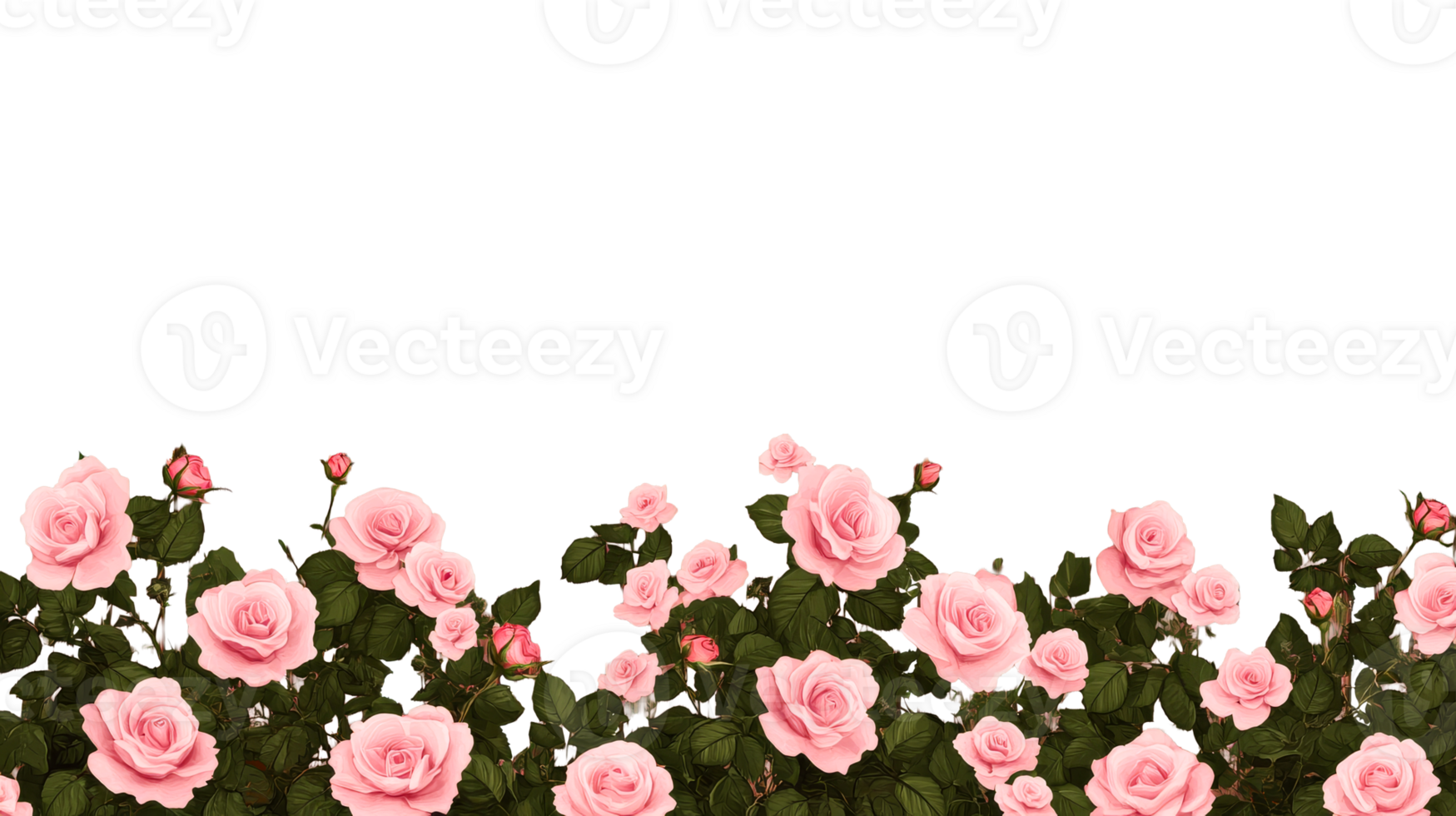 Pink roses border lush blossoms romantic design, cut out transparent png