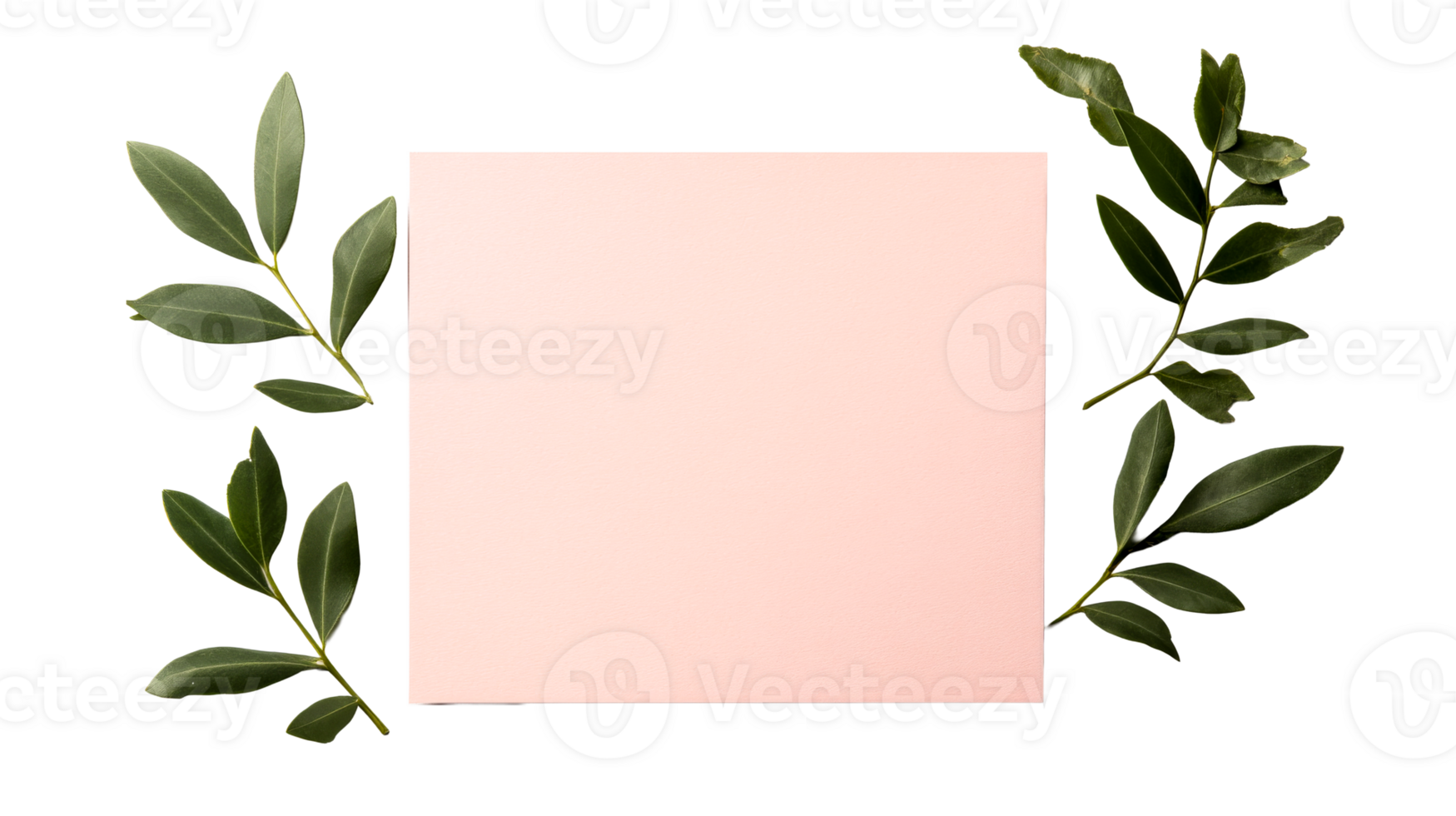 Square blush paper with foliage frame on black backdrop, cut out transparent png