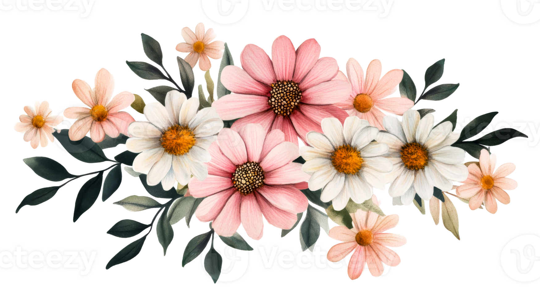 Floral arrangement with daisy blossoms in pink and white colors, cut out transparent png