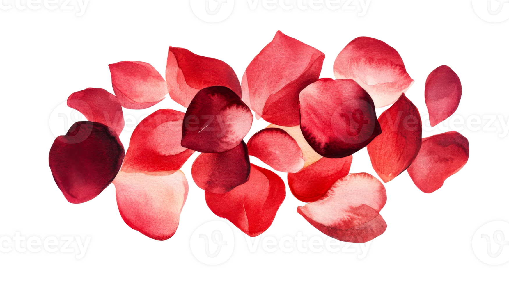 Watercolor petals, red, dark red petals, isolated, transparent, cut out transparent png