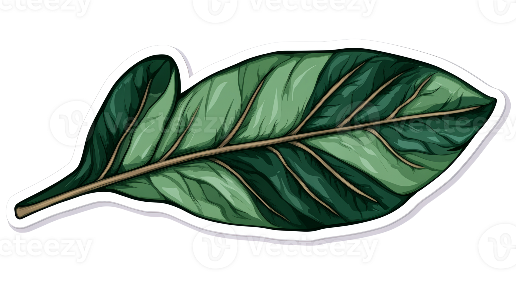 Tropical plant leaf with veins, stylized, green tones, sticker effect, cut out transparent png