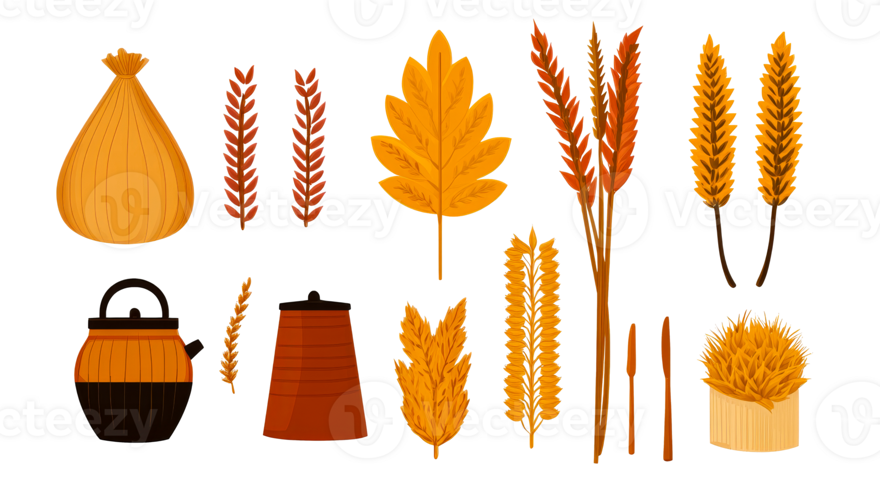 Autumnal elements arranged in collection, cut out transparent png