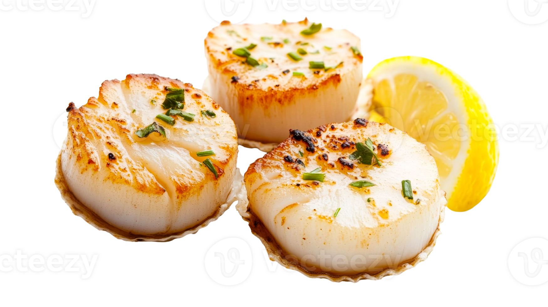 Seared scallops with lemon and herbs, gourmet seafood meal, cut out transparent png
