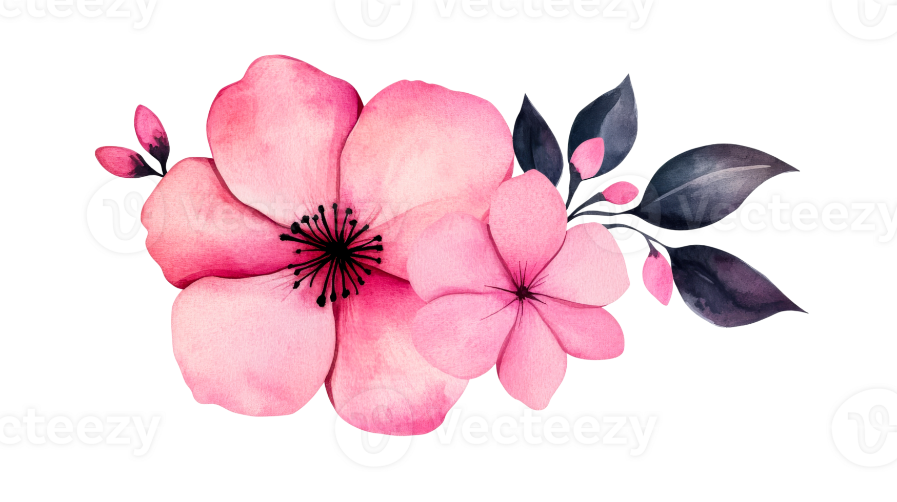 Watercolor pink flower with dark leaves illustration, cut out transparent png