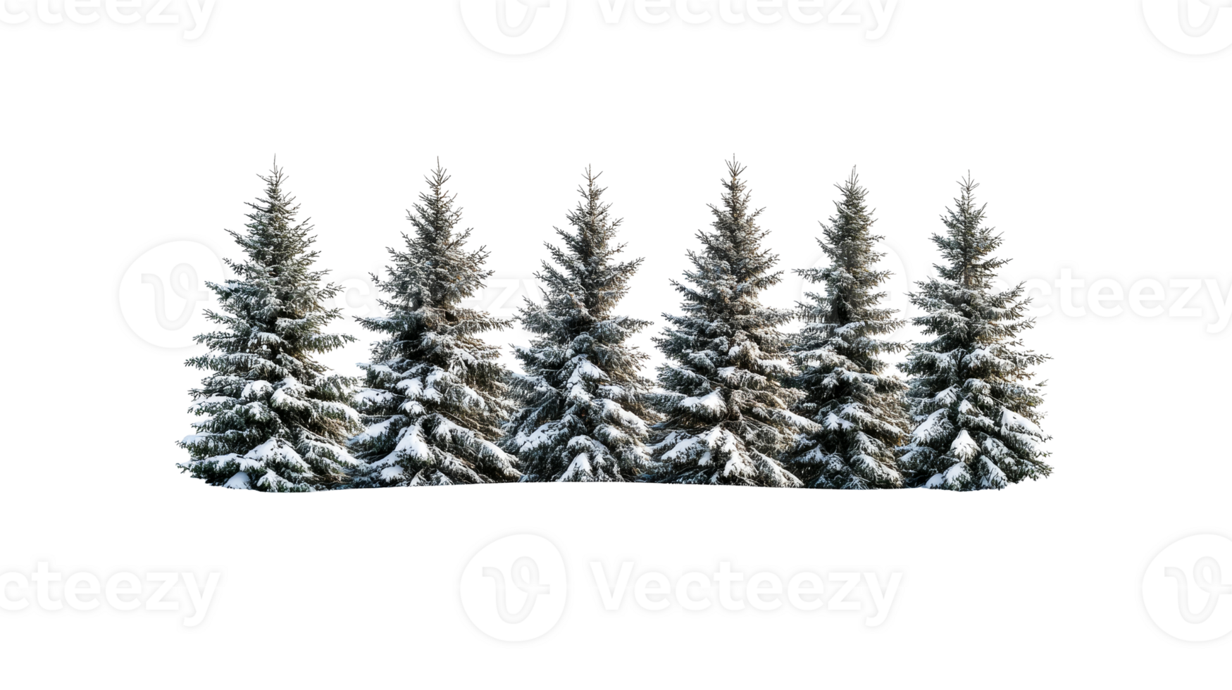 Snowy Spruce Forest in Winter Landscape, Cut Out Transparent png