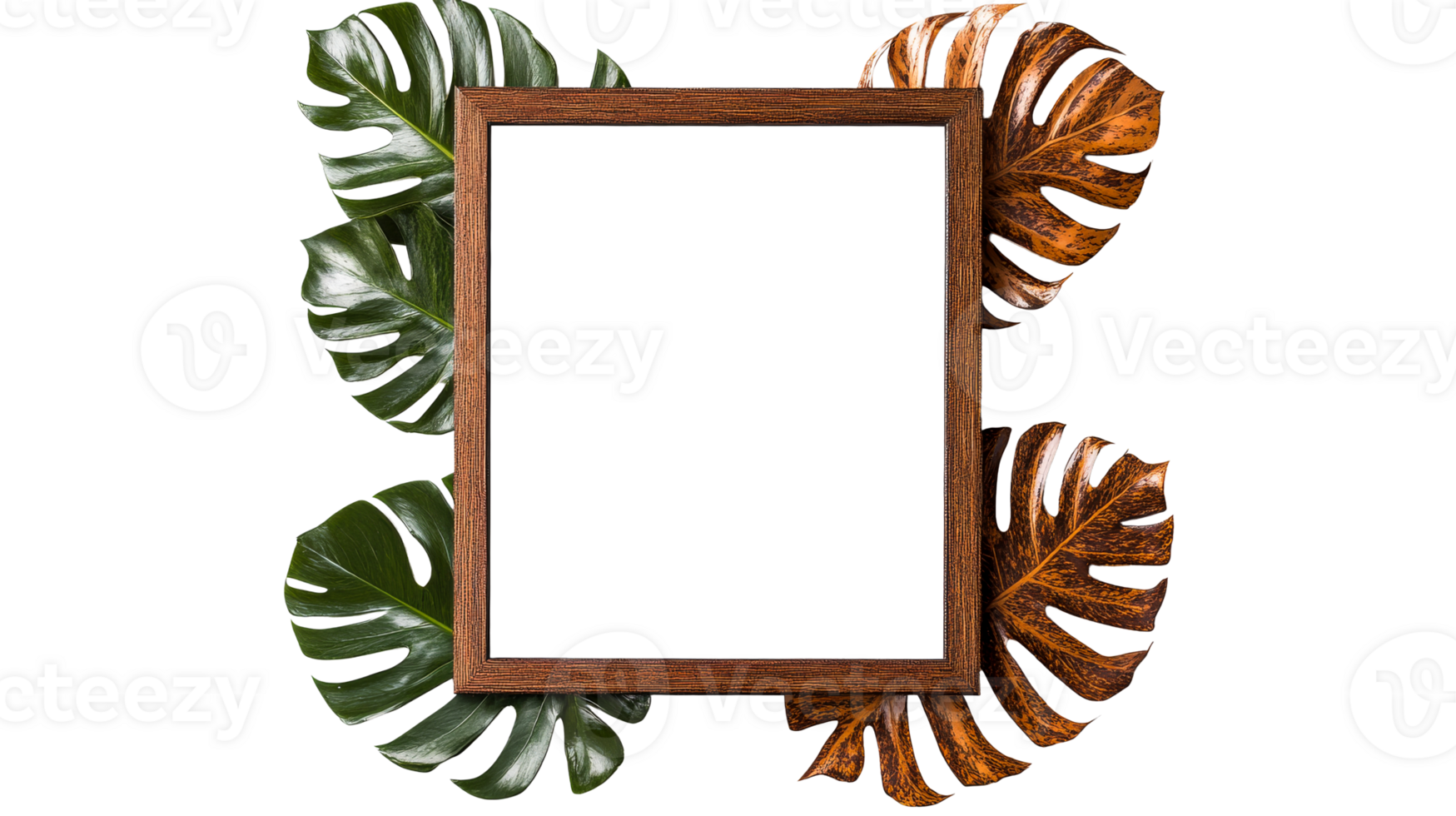 Decorative picture frame with Monstera leaves on black background, cut out transparent png