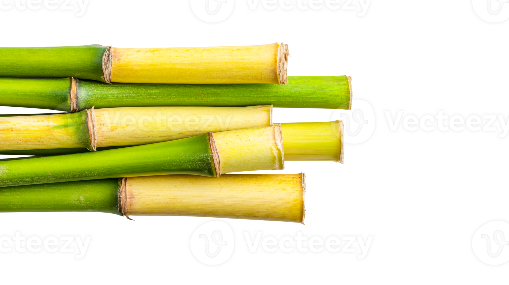 Fresh Sugarcane Stalks Stacked Horizontally, Cut Out Transparent png