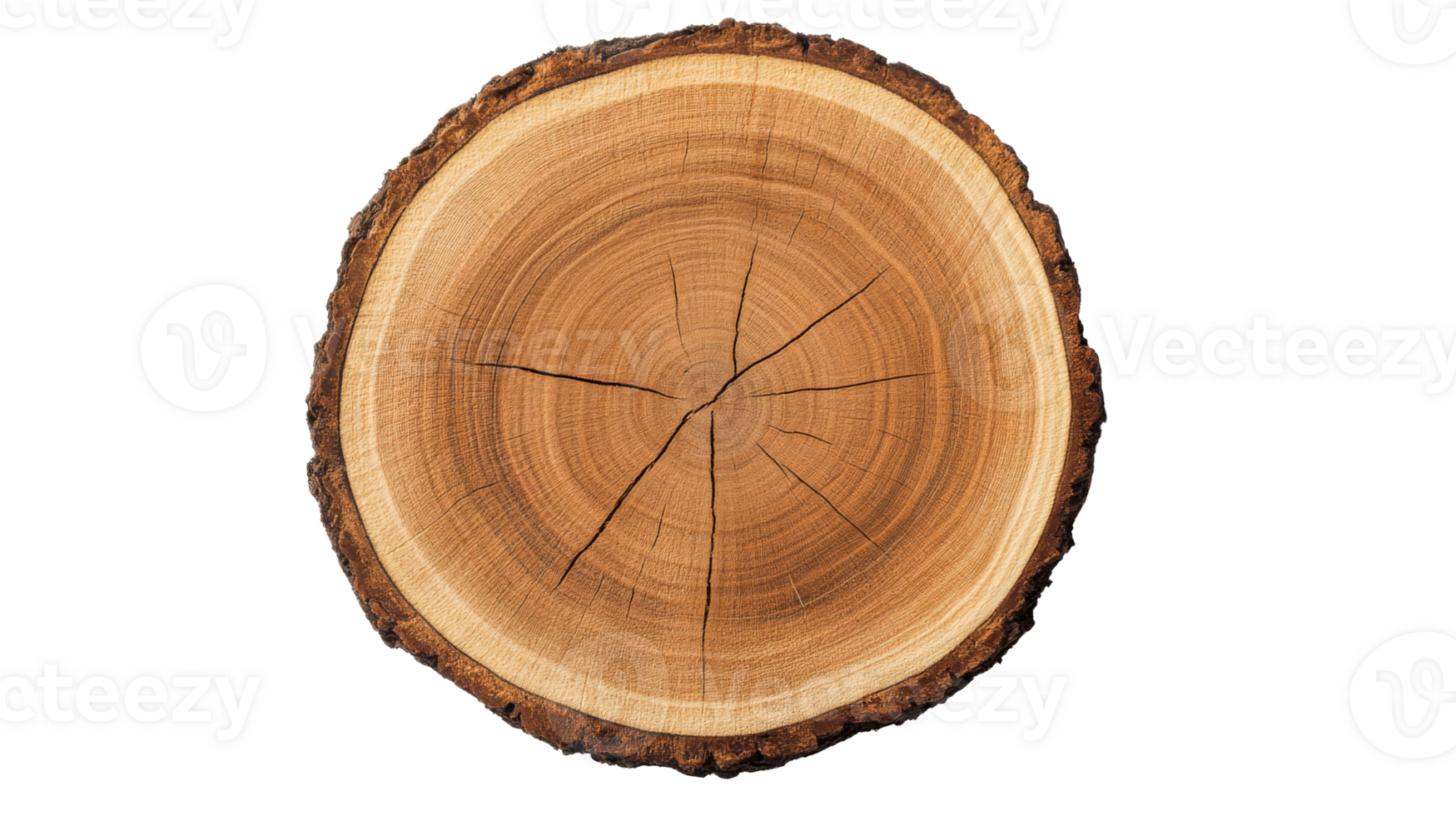 Circular Wood Cut, Tree Rings Texture, Brown Bark Texture, cut out transparent png