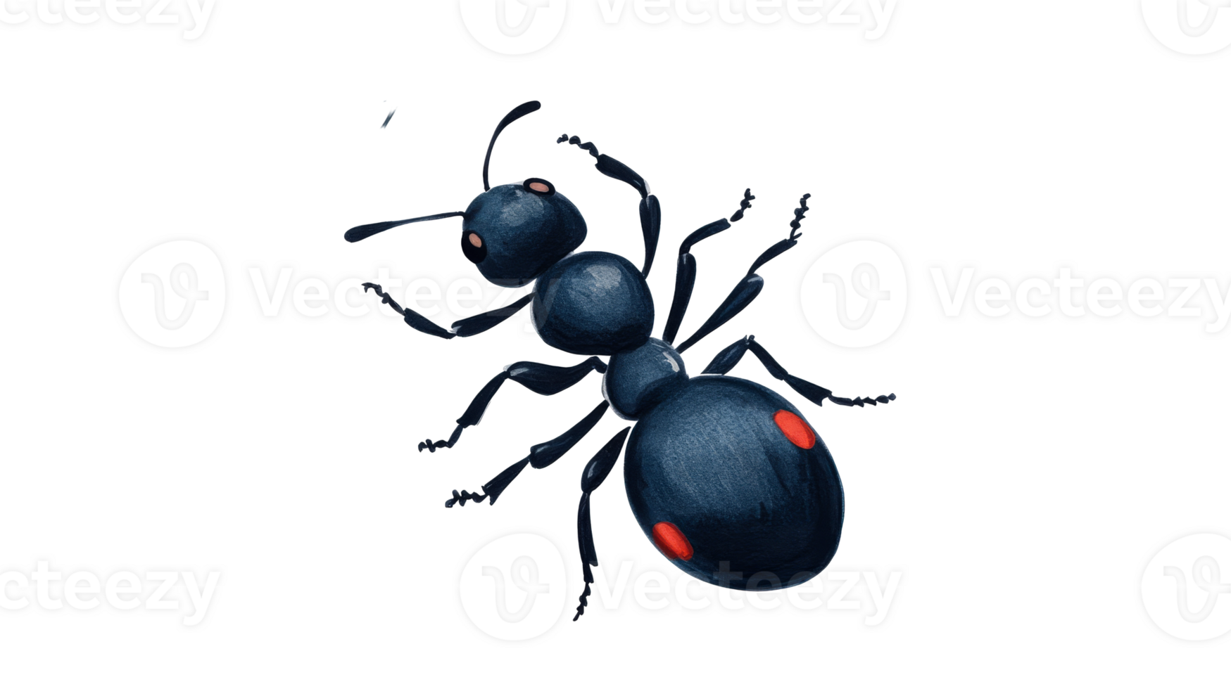 Ant with red spots illustration, isolated artwork, cut out transparent png