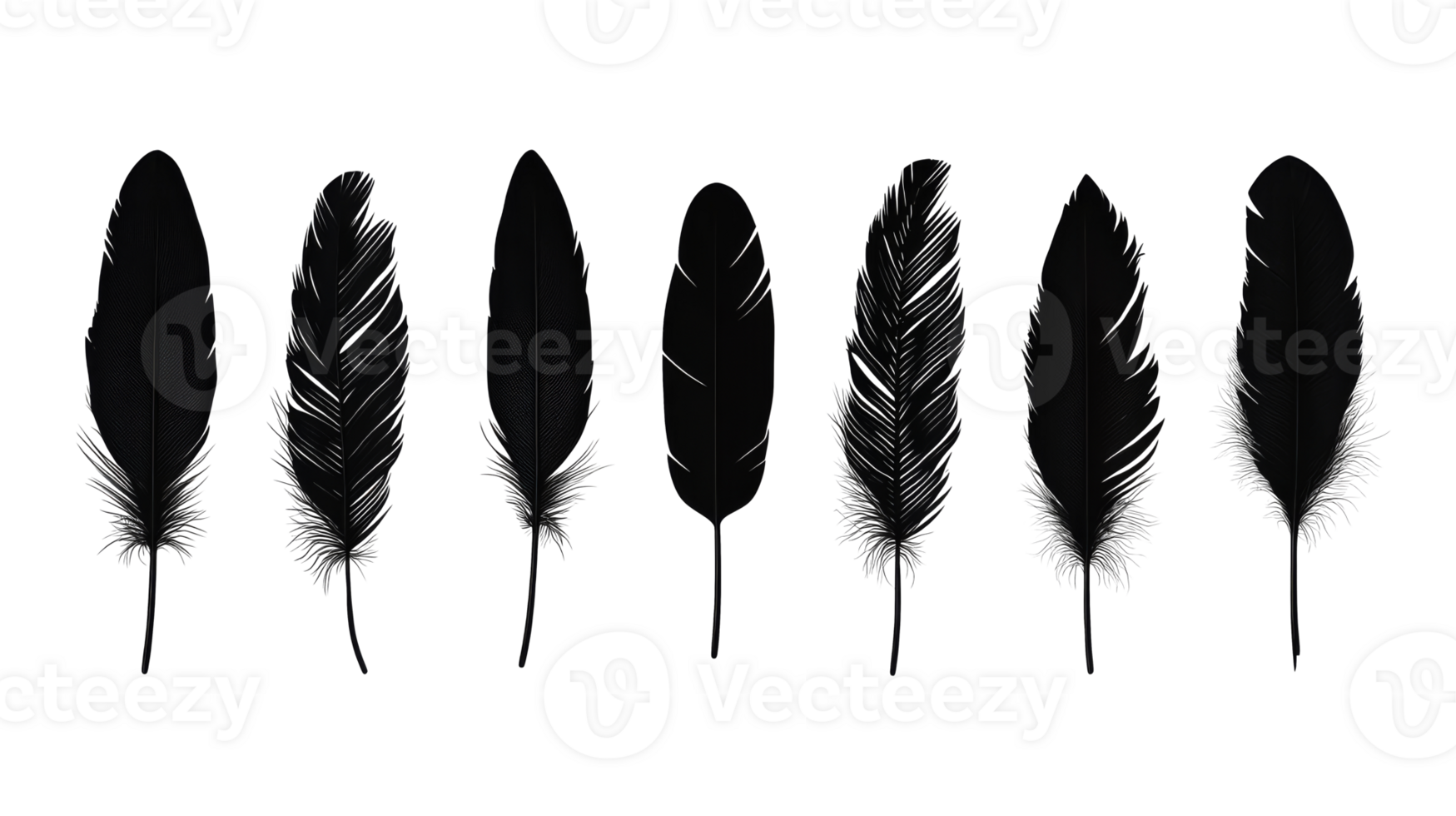 Black bird feathers collection on black background, cut out transparent png