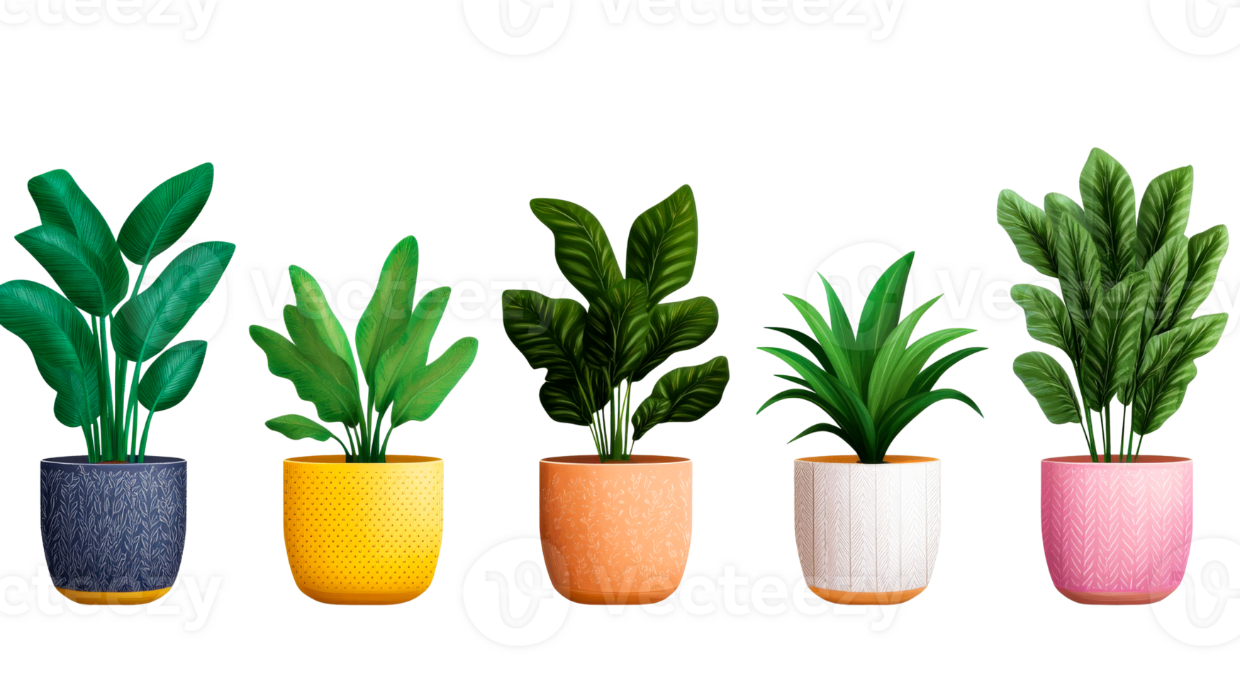 Potted plants selection, decorative, colorful pots, cut out transparent png