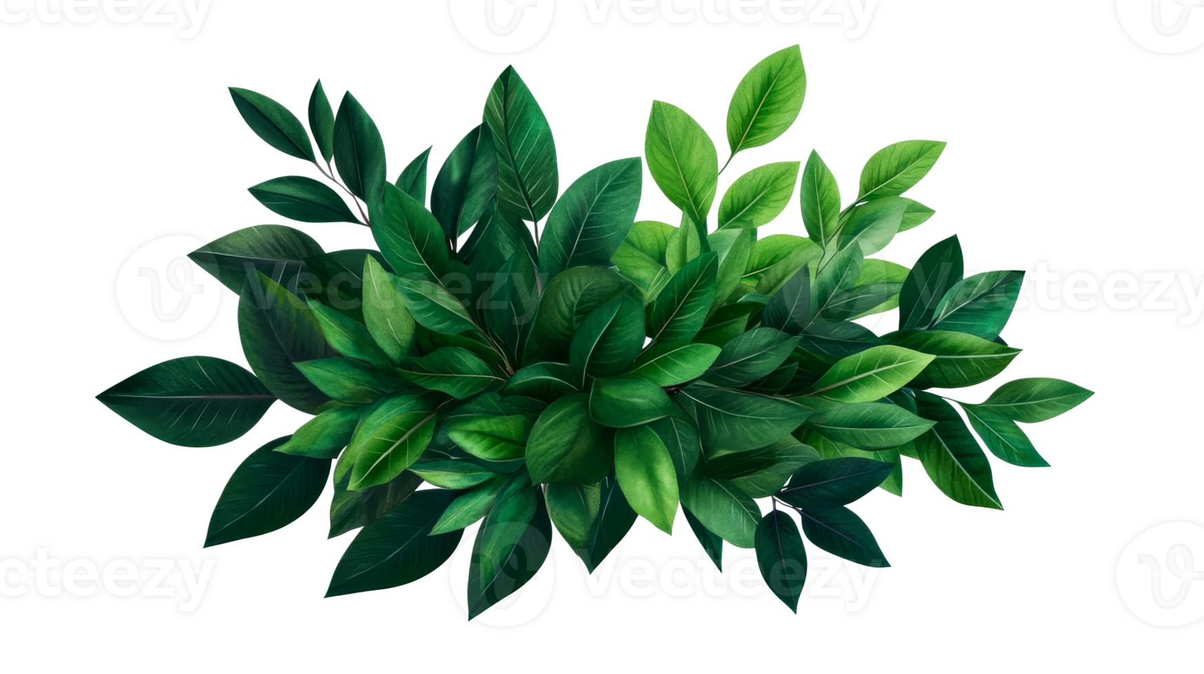 Lush greenery bush with vibrant leaves on dark background, cut out transparent png