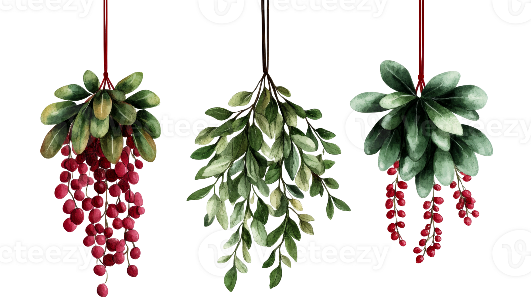 Mistletoe with leaves and berries watercolor art, cut out transparent png