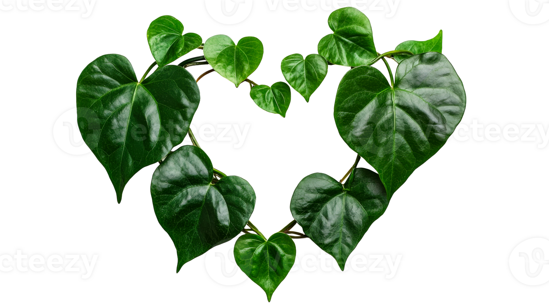 Heart shape made with green leaves and branches, cut out transparent png