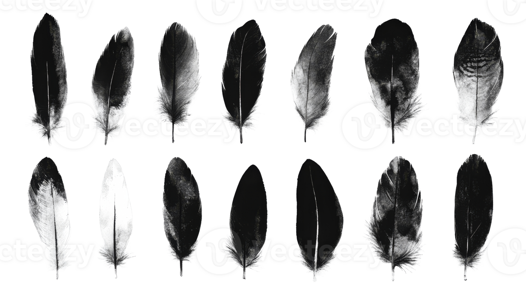Feathers texture, white isolated on black background, decorative, cut out transparent png