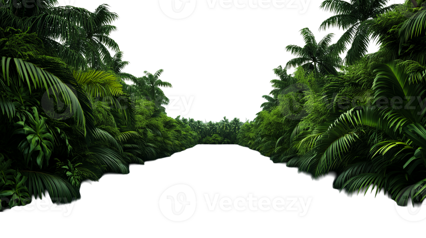 Tropical jungle, foliage, path, vegetation, growth, lush , cut out transparent png