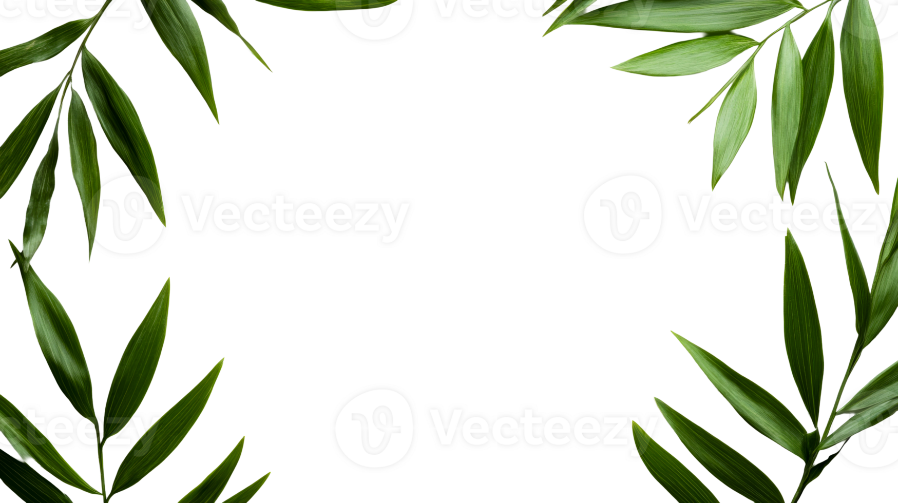 Tropical leaves border on black background for design, cut out transparent png