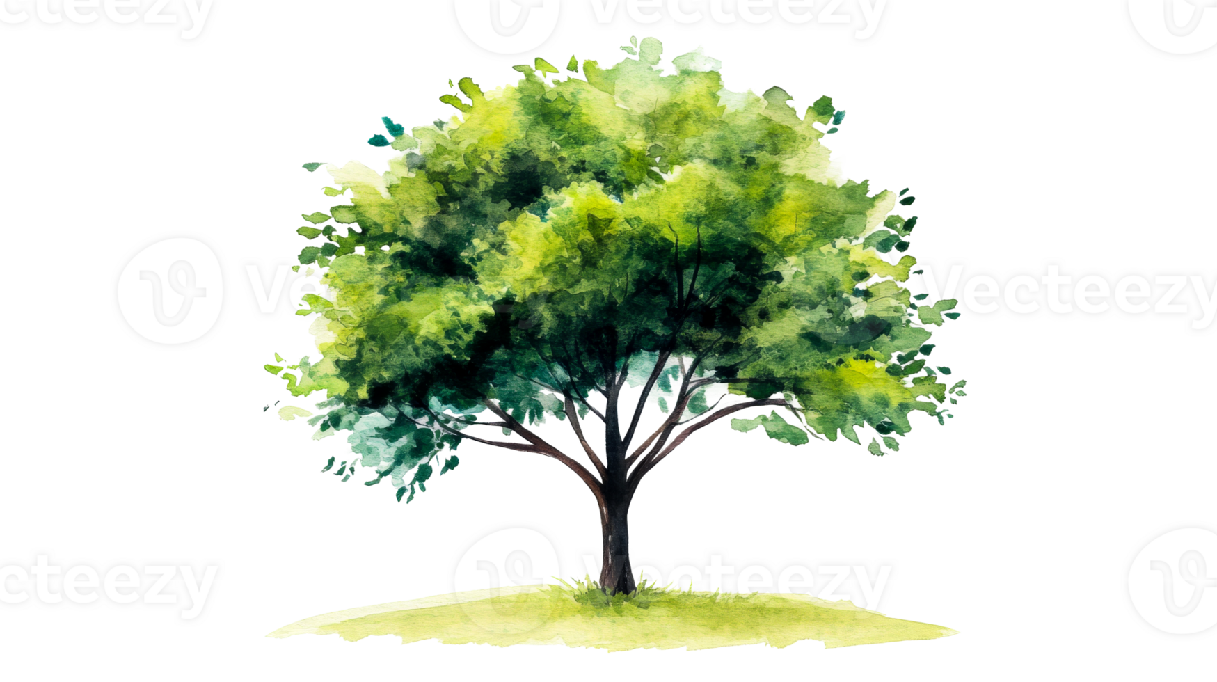 Tree with green foliage on black backdrop, isolated drawing, cut out transparent png
