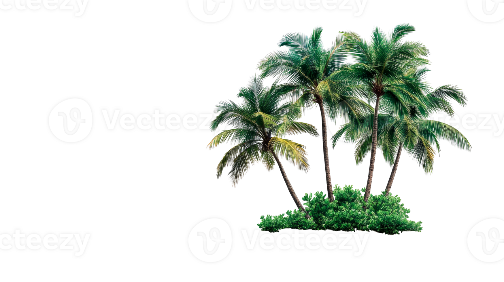 Palm trees against dark background, tropical foliage, nature, summer, cut out transparent png