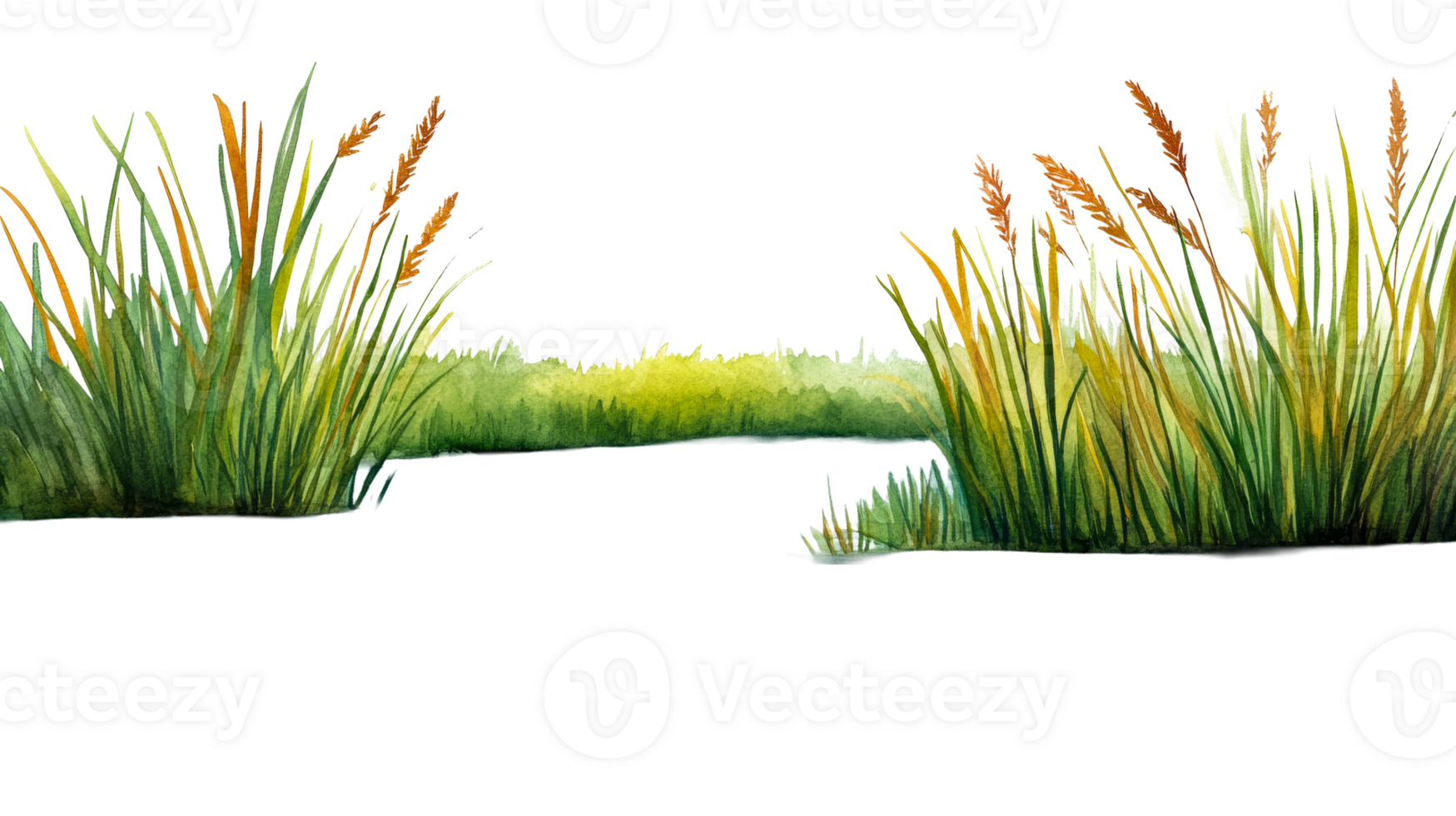 Watercolor meadow landscape with reeds and grass, cut out transparent png