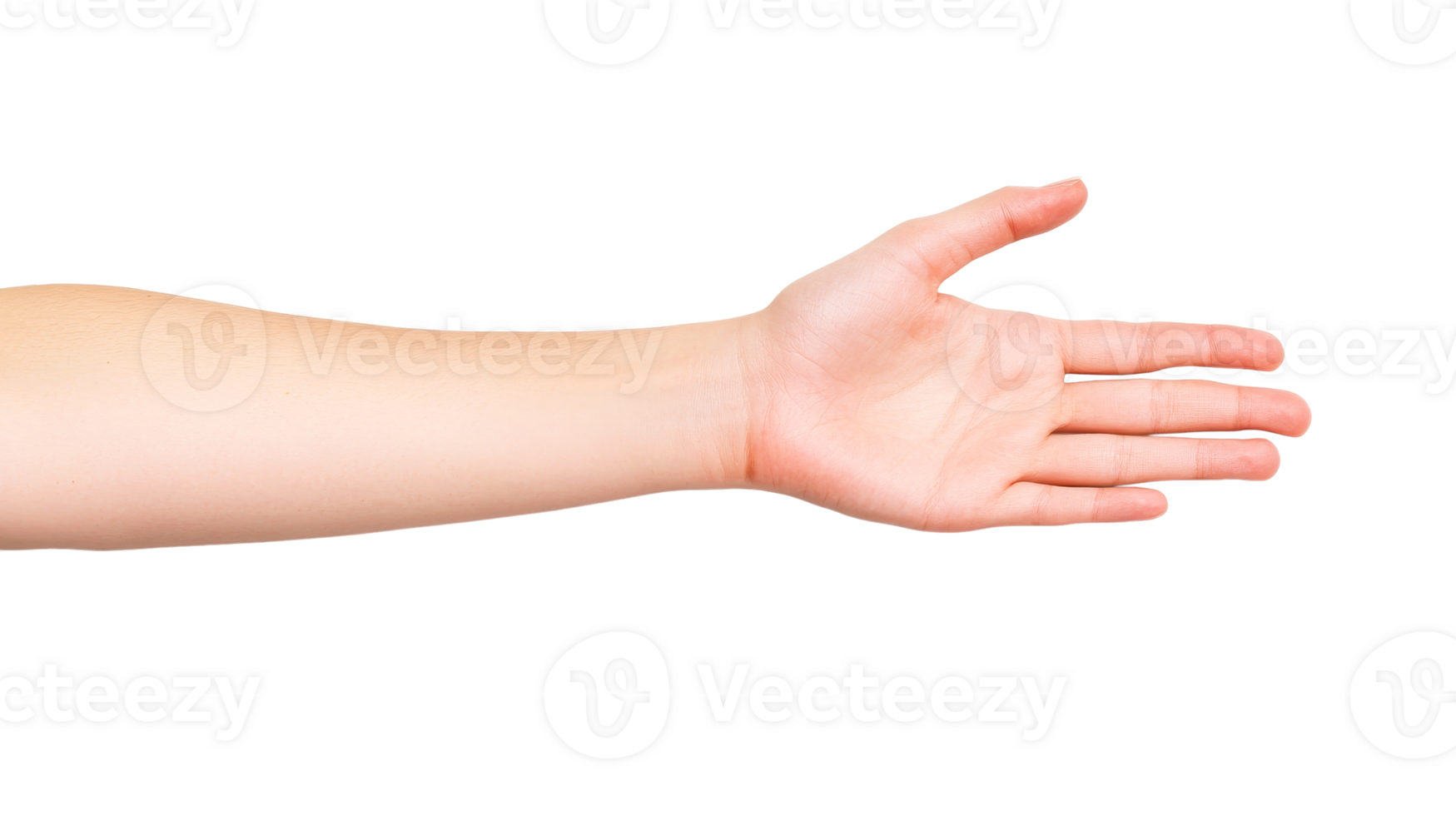 Open Caucasian hand offering welcome, on black background, cut out transparent png