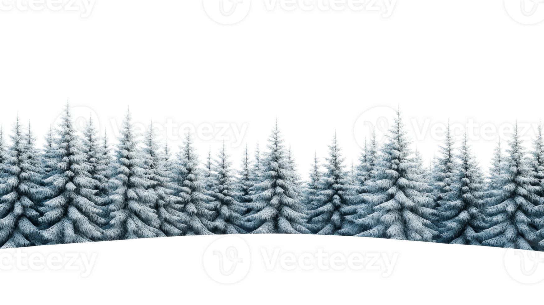 Snowy conifer forest against black background, winter scene, landscape, cut out transparent png