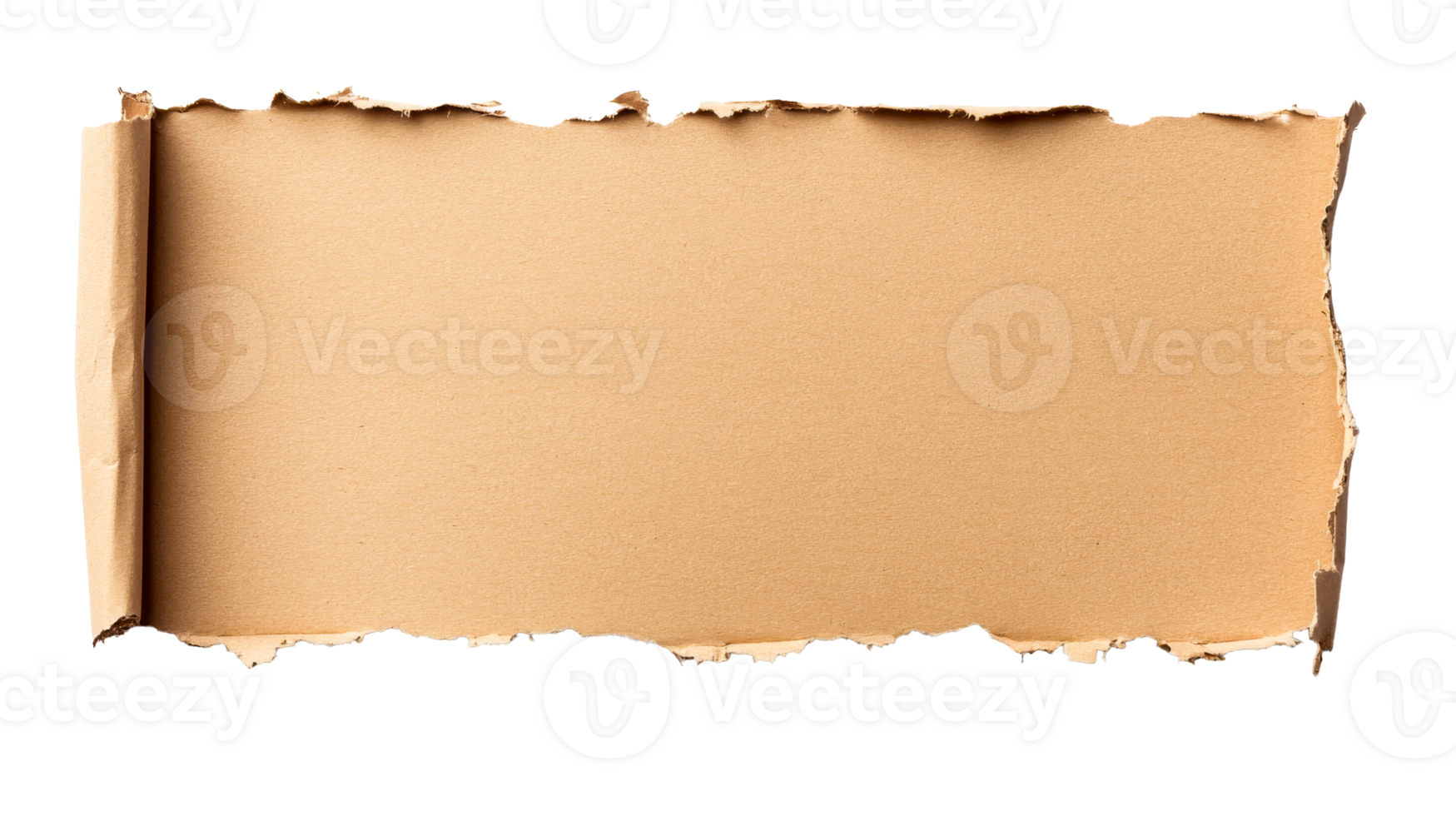 Ripped brown paper scroll, background texture with curled edge, cut out transparent png