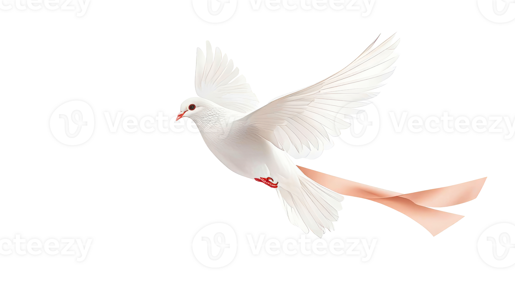 White dove flying with peach ribbon, isolated, cut out transparent png