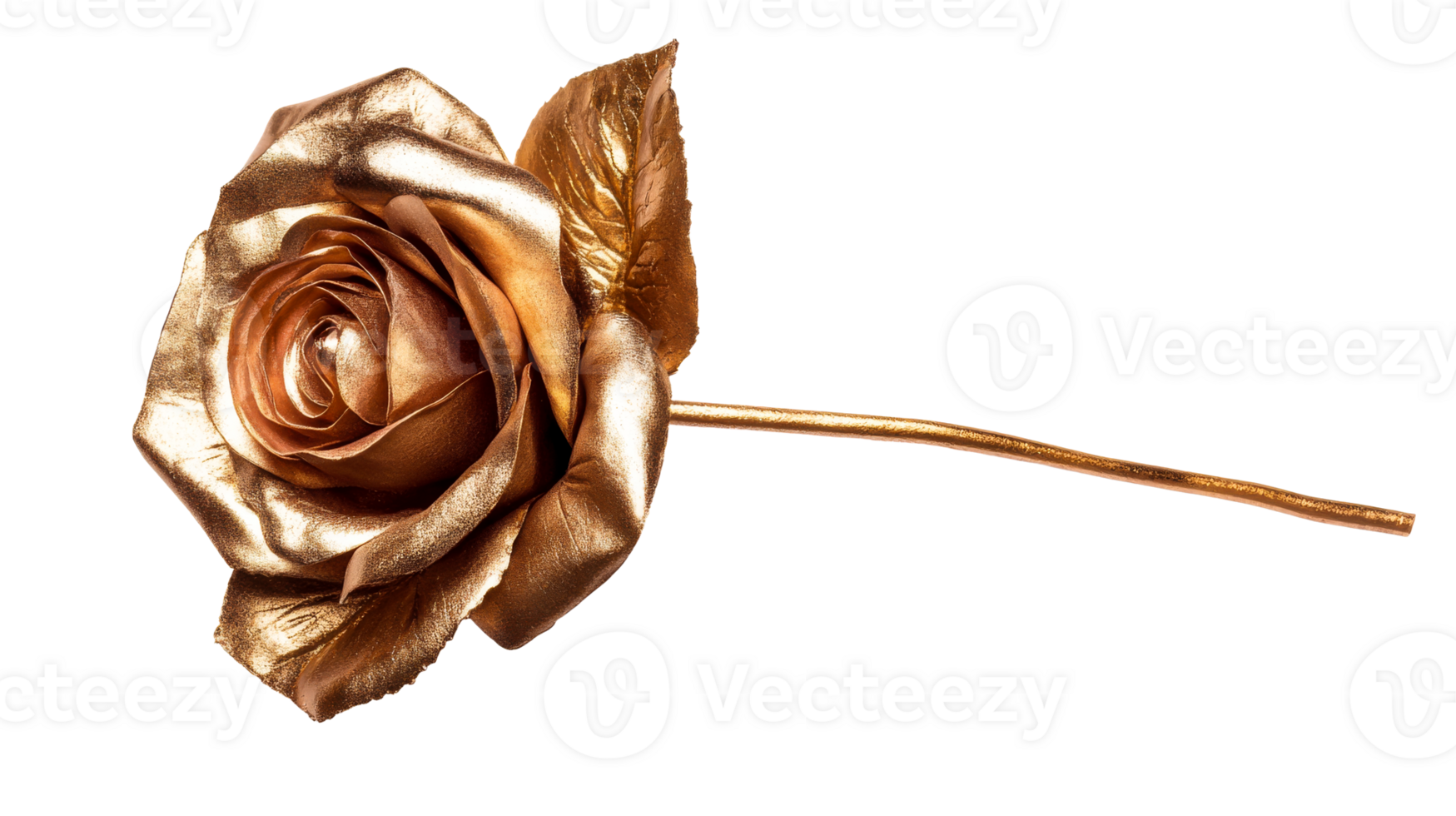 Golden rose, blossom, gift, stem, decoration, background, cut out transparent png