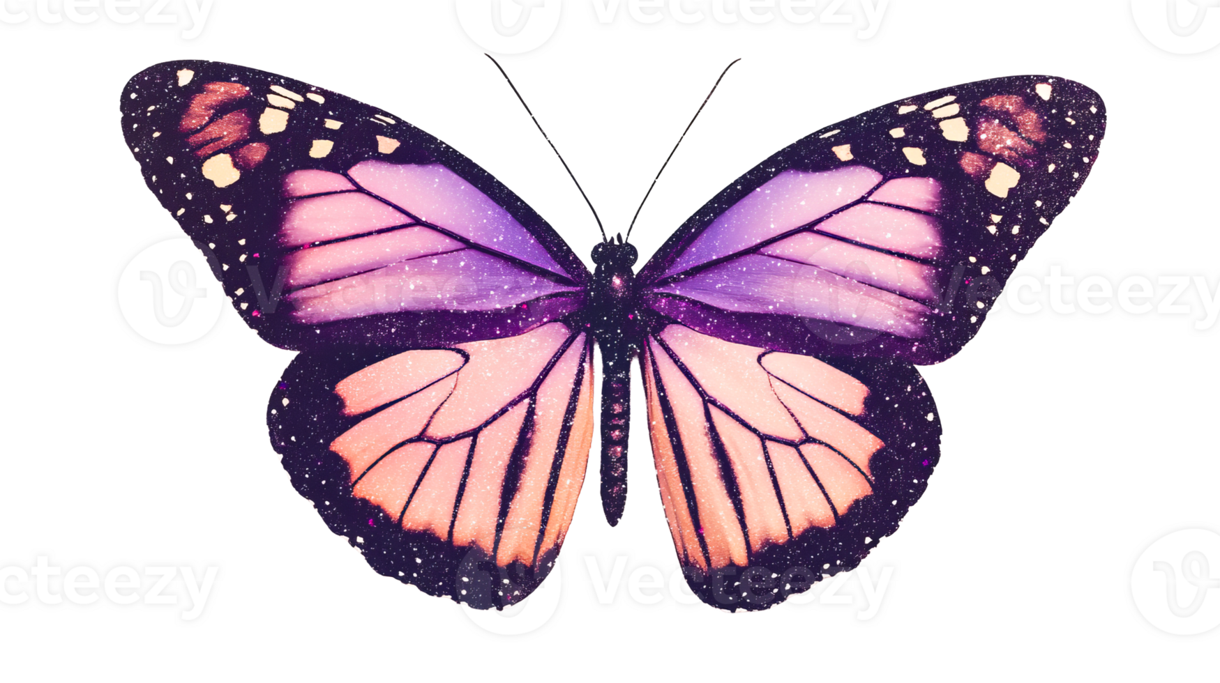 Exotic butterfly on dark background, cut out transparent png