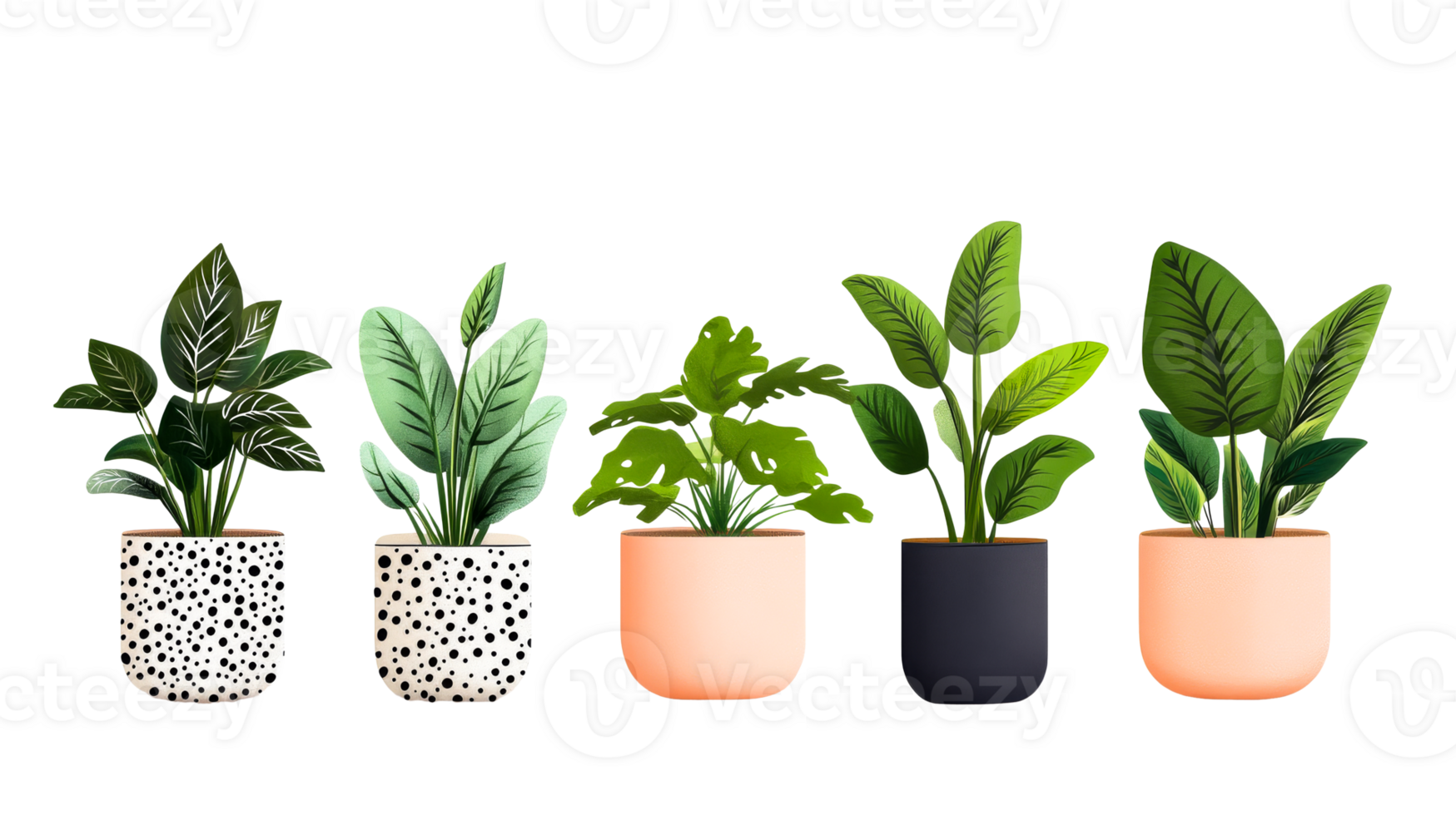 Indoor plants collection with different pots, cut out transparent png