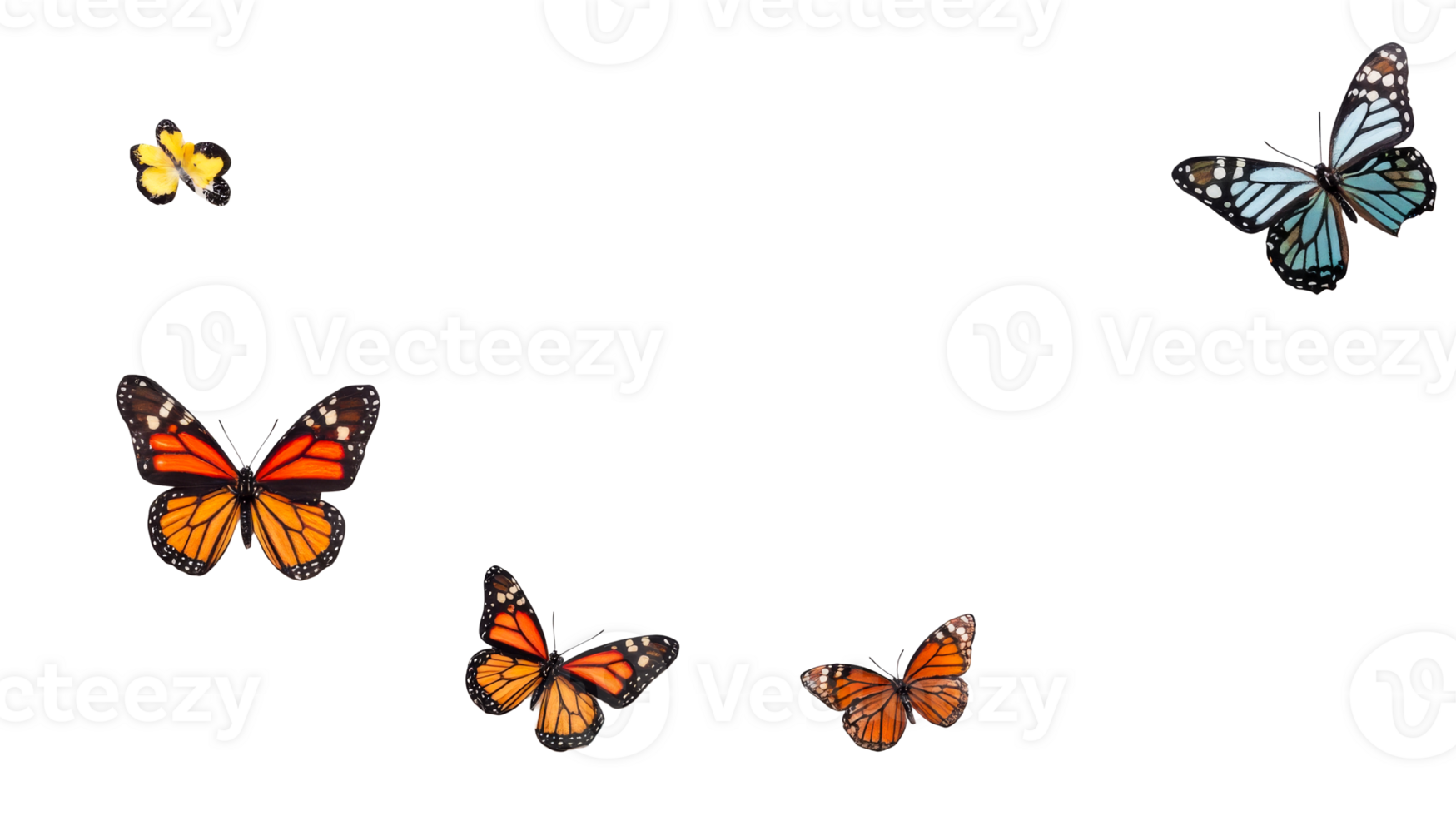 Assortment of Colorful Butterflies Isolated on Black Background, cut out transparent png