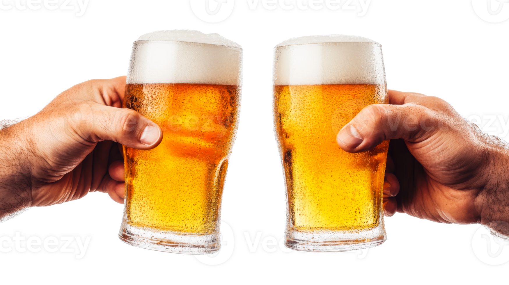 Two hands toasting full beer glasses of lager, cut out transparent png