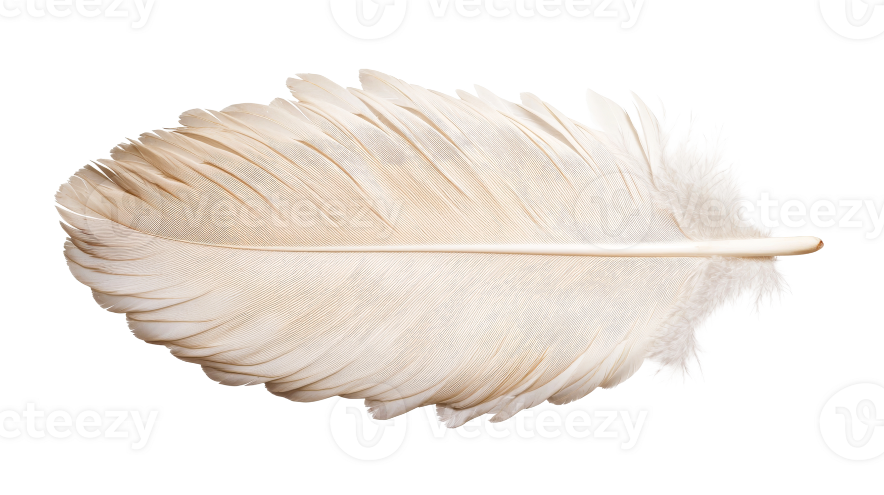 Single soft white feather isolated on black background, cut out transparent png