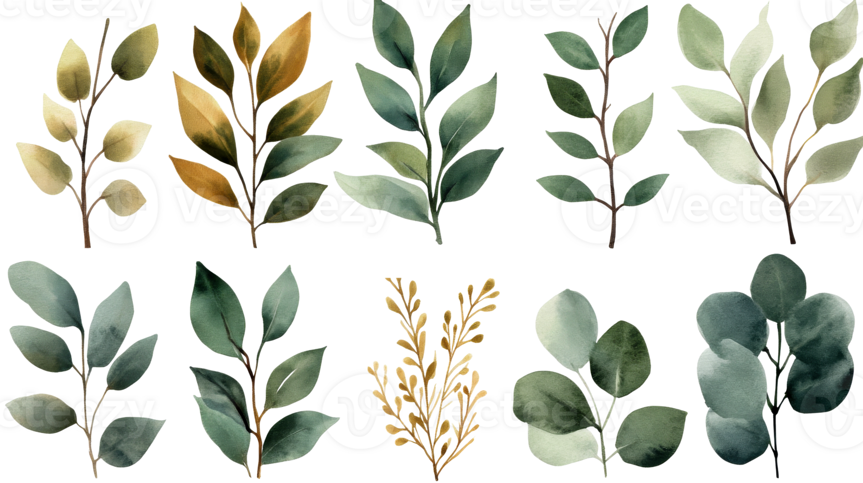 Watercolor foliage arrangement set with delicate leaves, cut out transparent png