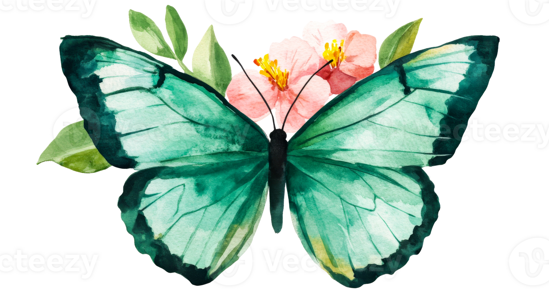 Colorful butterfly with flowers and leaves on a transparent background png