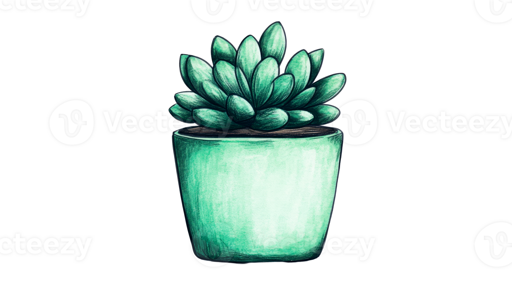 Succulent plant in a decorative pot with a transparent background png