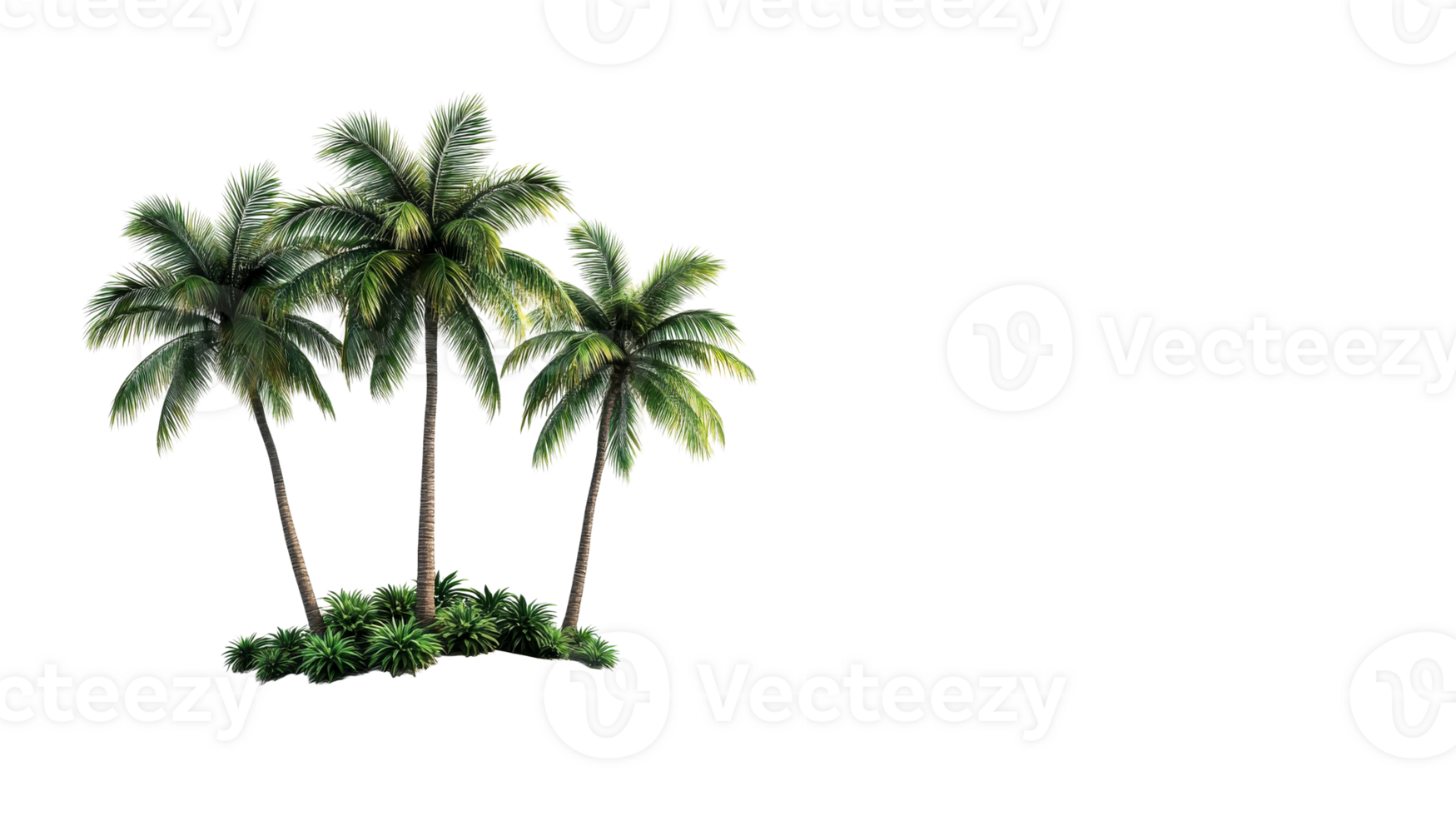 Three palm trees surrounded by lush greenery on transparent background png