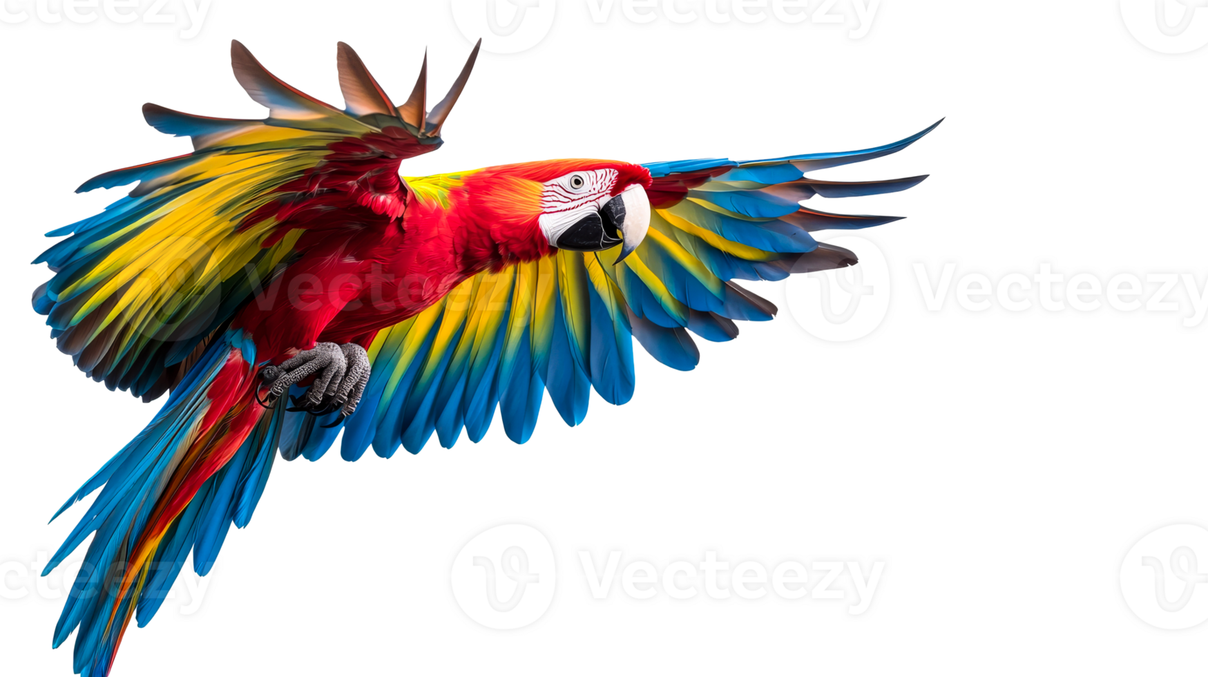 Colorful macaw flying against a clear background png