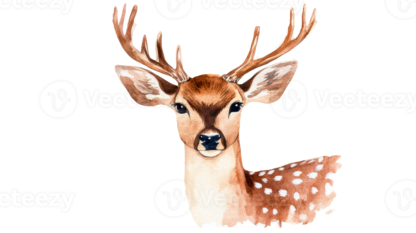 Elegant Watercolor Deer Portrait on Black, cut out transparent png
