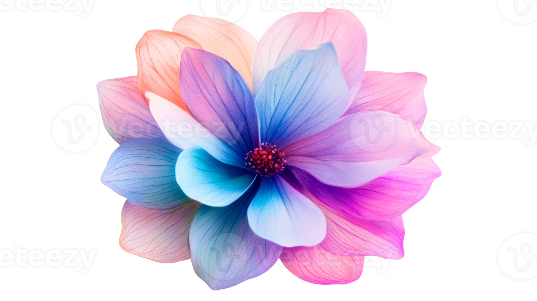 Colorful bloom with gradient petals, artistic floral design, cut out transparent png