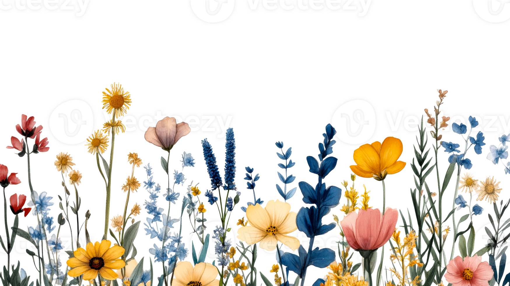 Floral meadow with vibrant watercolor flowers, cut out transparent png