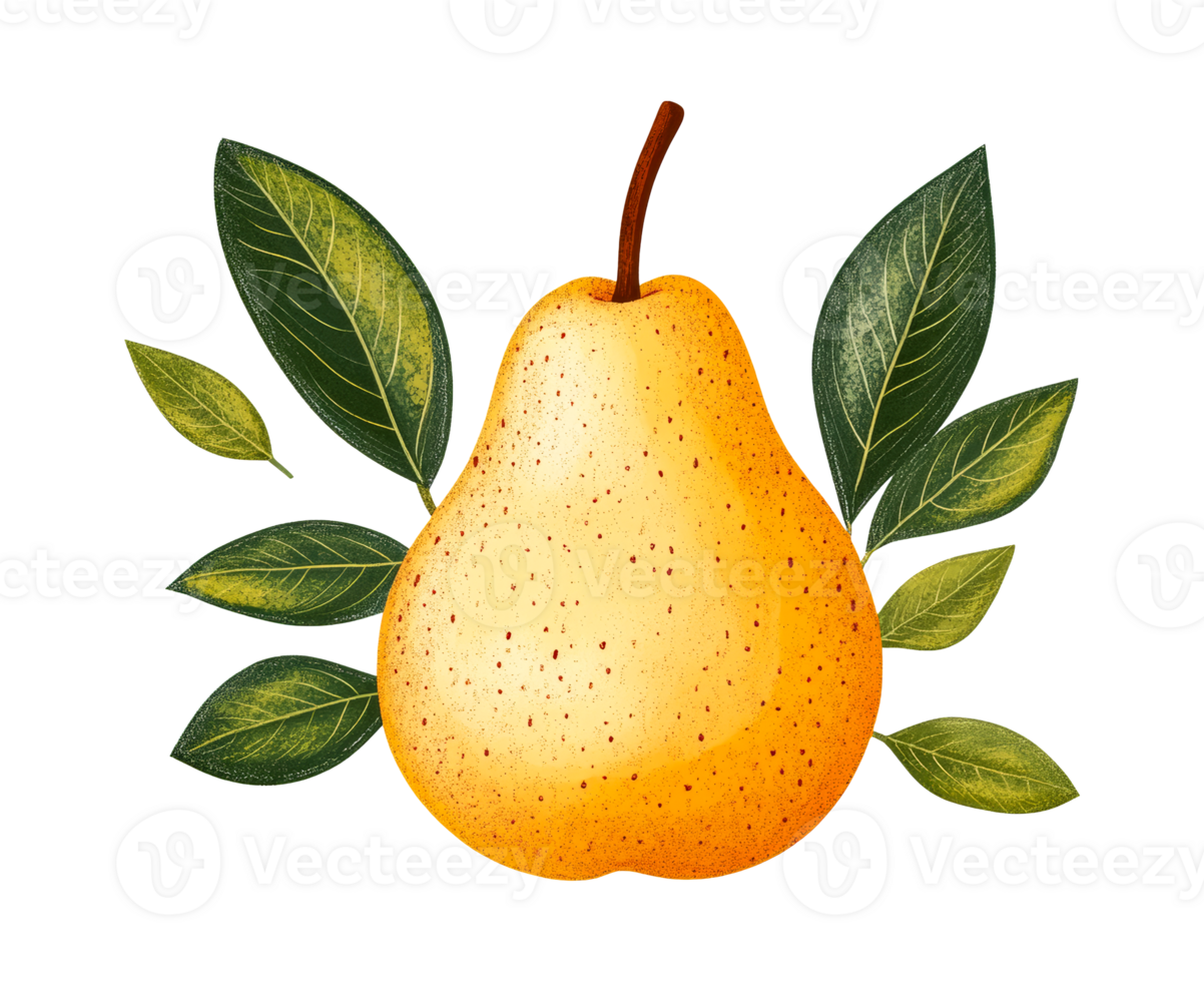 Pear with leaves composition, art illustration, cut out transparent png