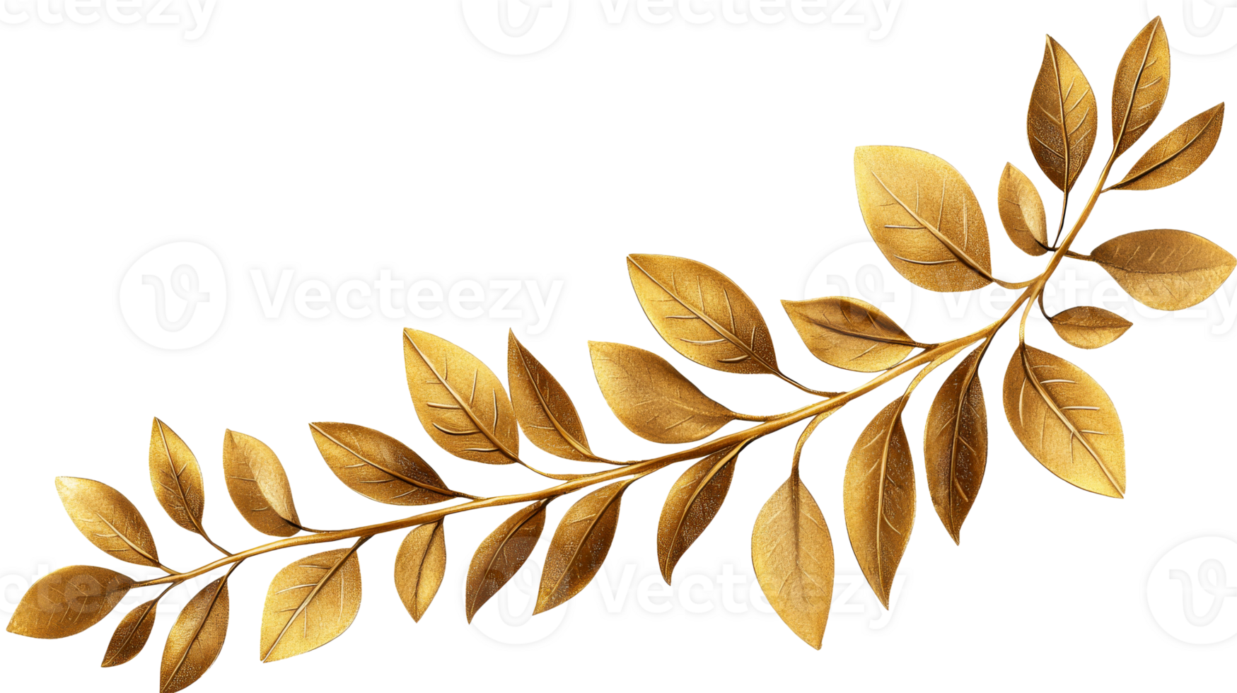 Golden laurel branch with leaves on a black background, cut out transparent png